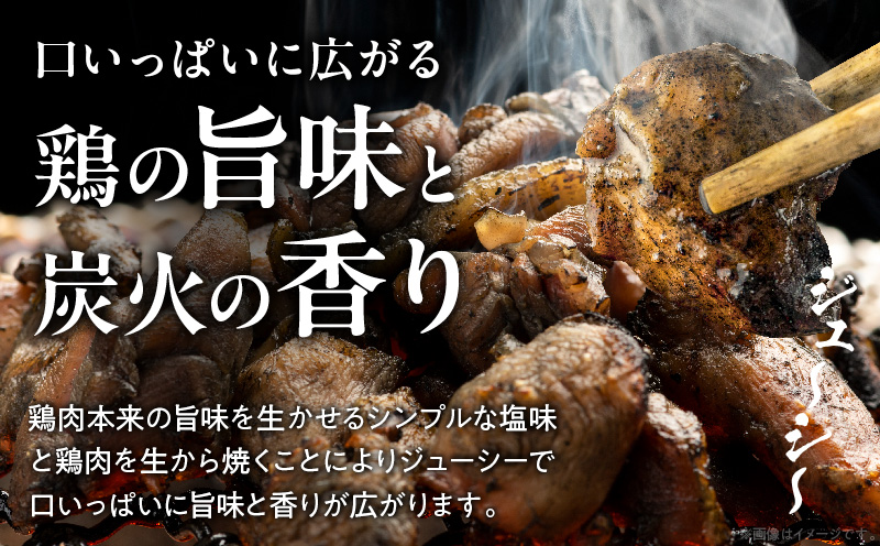 宮崎名物 鶏の炭火焼き 1kg（100g×10パック）
