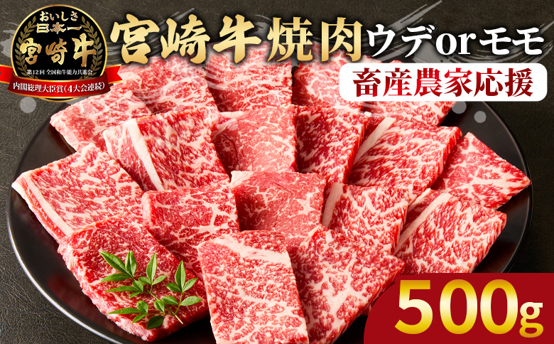 【期間限定】＜宮崎牛 赤身焼肉 1パック（500g）＞2026年1月に順次出荷【 国産 黒毛和牛 牛肉 牛 精肉 カット肉 BBQ ウデ肉 モモ肉 4等級以上 ブランド牛 赤身 旨味 贈答品 ギフト 贈り物 プレゼント 化粧箱 グルメ ミヤチク 宮崎県 国富町 】