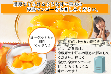 ＜JAみやざき宮崎中央地区本部管内産 宮崎県産 冷凍マンゴー 約270g＞翌月末迄に順次出荷