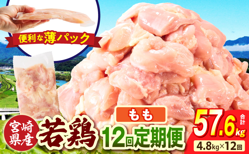 宮崎県産 若鶏切身もも肉 4.8kg（300g×16袋）【12か月定期便】