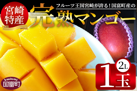 期間限定！＜宮崎特産！国富町産の完熟マンゴー 1玉（2L）＞2026年3月下旬～6月下旬迄に順次出荷