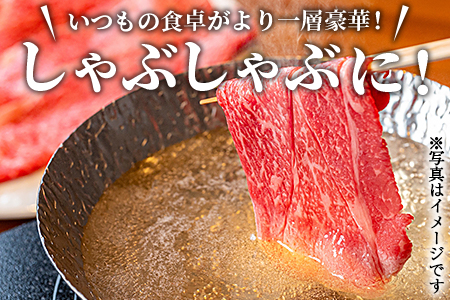 ＜宮崎牛肩ローススライス500g＆訳あり赤身サイコロステーキ500g 合計1kg＞翌々月末迄に順次出荷【 牛 肉 牛肉 国産 肩ロース ロース スライス ステーキ 赤身 宮崎牛 すきやき バーベキュー  焼き肉 セット 送料無料 】