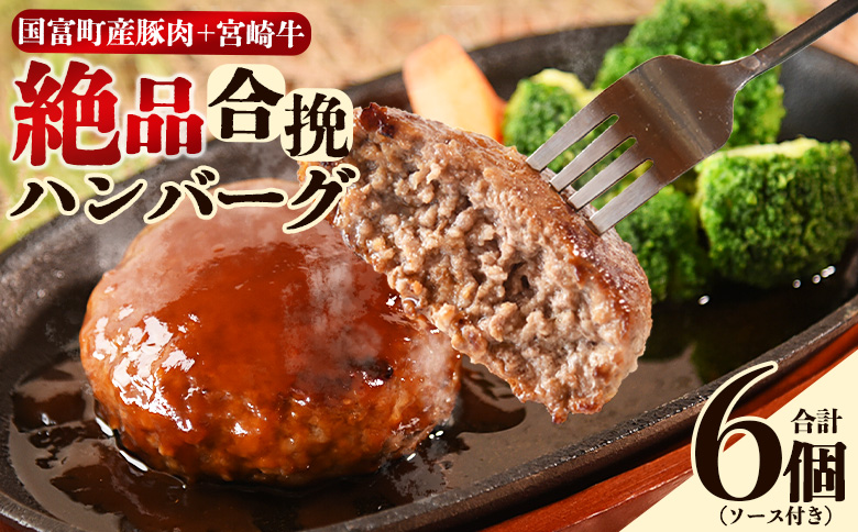 ＜絶品合挽ハンバーグ 6個＞入金確認後、翌月末迄に順次出荷 ソース付き【国富産 豚肉 宮崎牛 ブランド牛 合いびき 合い挽き 160g ぶたにく 牛肉 おかず 一品 焼くだけ 簡単調理 お弁当 お取り寄せ おとりよせ グルメ 贈り物 ご家庭用】