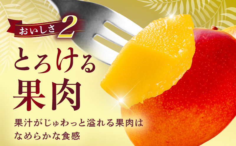 宮崎県産 完熟マンゴー 2玉 2L