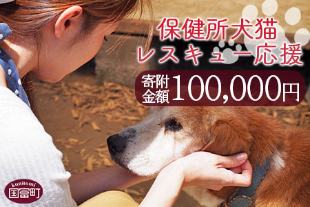 ＜保健所犬猫レスキュー【返礼品なしのご寄附】＞寄付金額100,000円※お礼状をお送りいたします。【 動物愛護 保護 犬 猫 いぬ ねこ イヌ ネコ 動物 どうぶつ ペット 応援 支援 寄付 使い道 いのちのはうす保護家 】