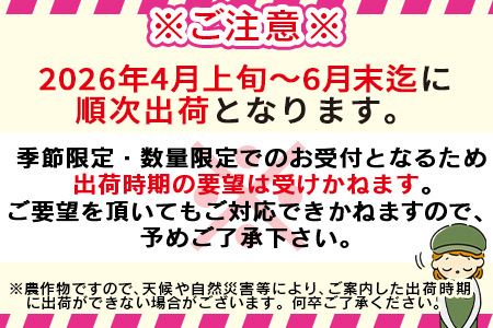 数量限定【2026年発送】＜宮崎県産 太陽のタマゴ A等級 4Lサイズ×2玉（合計約1kg）＞2026年4月上旬〜6月末迄に順次出荷【 果物 青果 フルーツ 太陽のタマゴ 太陽のたまご 完熟マンゴー マンゴ― 期間限定 先行予約 ギフト 贈答用 送料無料 】