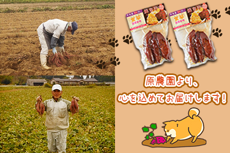 ＜国富金時 蜜芋（400g×2）合計800g＞翌月末迄に順次出荷