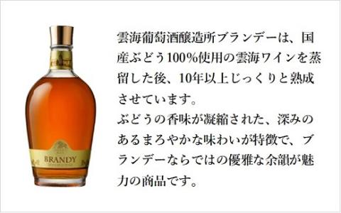 邯セ繝悶Λ繝ウ繝繝シ 720ml 40蠎ヲ 蝗ス逕」 100% 繝悶Λ繝ウ繝繝シ 闥ク逡咎 豢矩 雍育ュ 繧ョ繝輔ヨ 繝励Ξ繧シ繝ウ繝 髮イ豬キ 髮イ豬キ闡。關驟帝ク騾謇縲宣峇豬キ驟帝縲狙A0114-065