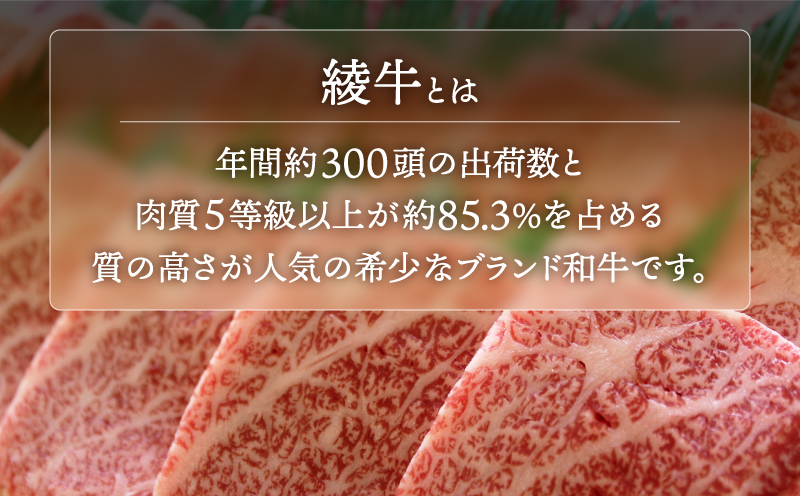 A4A5等級 黒毛和牛 霜降り  綾牛ロースステーキ（４００ｇ） 赤身 とろける_A0013-018