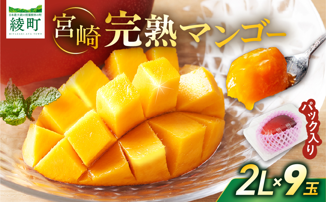 完熟マンゴー ２L×９玉（パック）【濃厚 宮崎 高級 果物 フルーツ 贈答 ギフト 甘い 送料無料 先行受付】【JA綾町】_A0114-1031