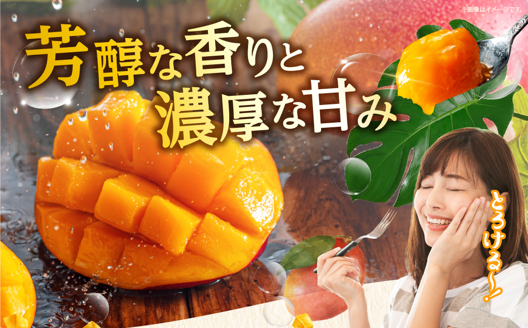【先行予約/数量限定】完熟マンゴー ３L×２玉（化粧箱）宮崎 高級 果物 フルーツ 濃厚 ギフト のし 贈答 先行受付 送料無料【JA綾町】_A0114-235