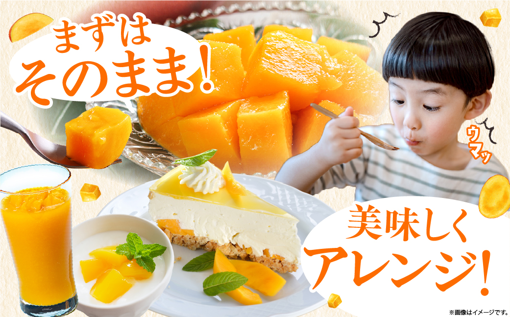完熟マンゴー ２L×９玉（パック）【濃厚 宮崎 高級 果物 フルーツ 贈答 ギフト 甘い 送料無料 先行受付】【JA綾町】_A0114-1031