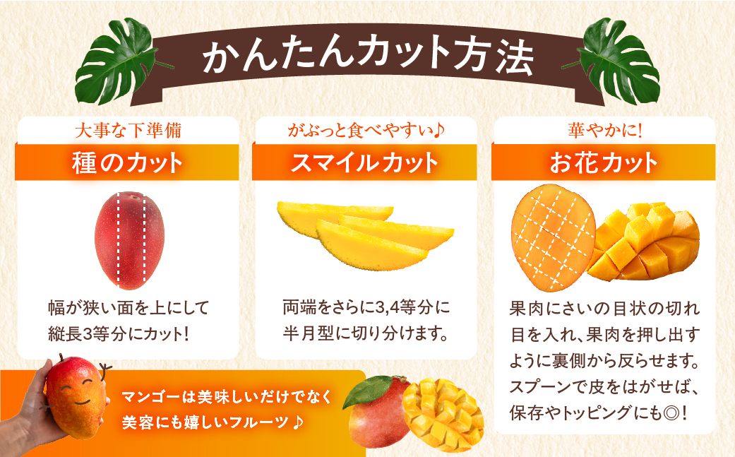 【先行予約/数量限定】完熟マンゴー ３L×２玉（化粧箱）宮崎 高級 果物 フルーツ 濃厚 ギフト のし 贈答 先行受付 送料無料【JA綾町】_A0114-235