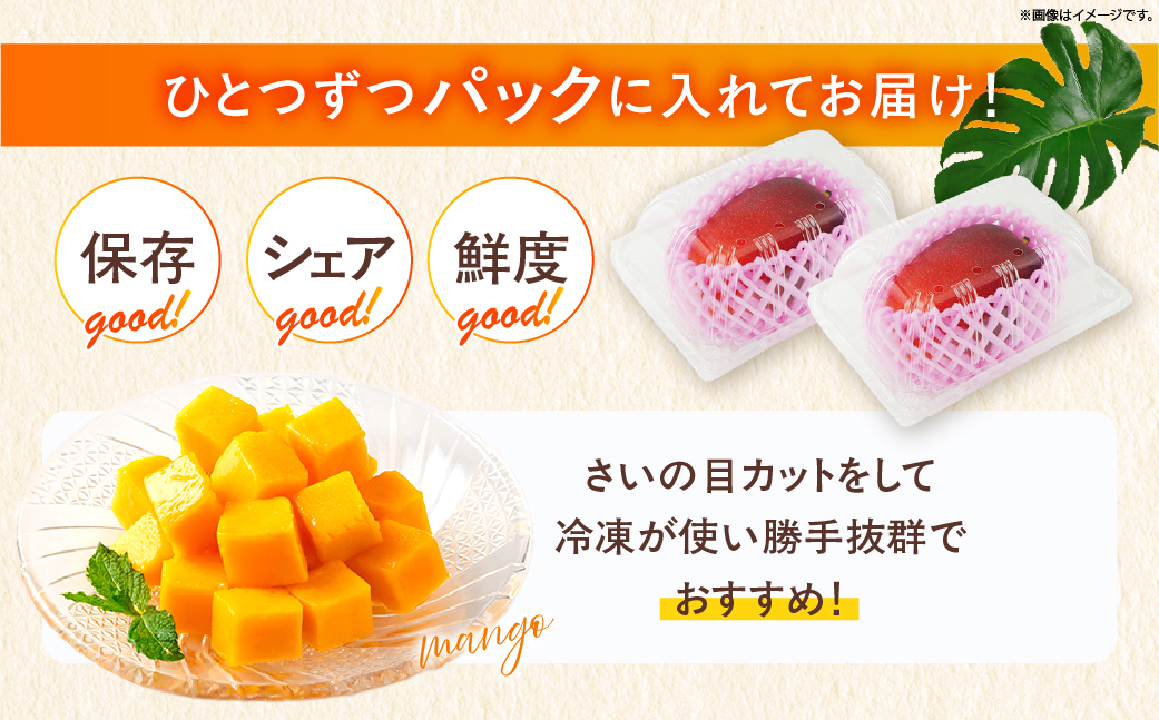 完熟マンゴー ２L×９玉（パック）【濃厚 宮崎 高級 果物 フルーツ 贈答 ギフト 甘い 送料無料 先行受付】【JA綾町】_A0114-1031
