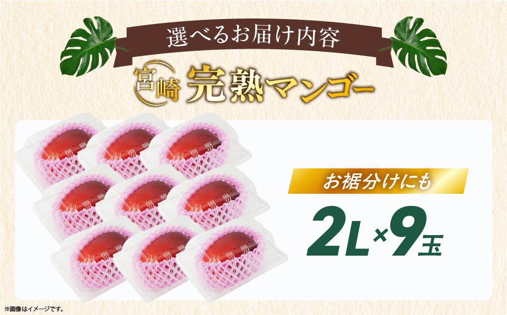 完熟マンゴー ２L×９玉（パック）【濃厚 宮崎 高級 果物 フルーツ 贈答 ギフト 甘い 送料無料 先行受付】【JA綾町】_A0114-1031
