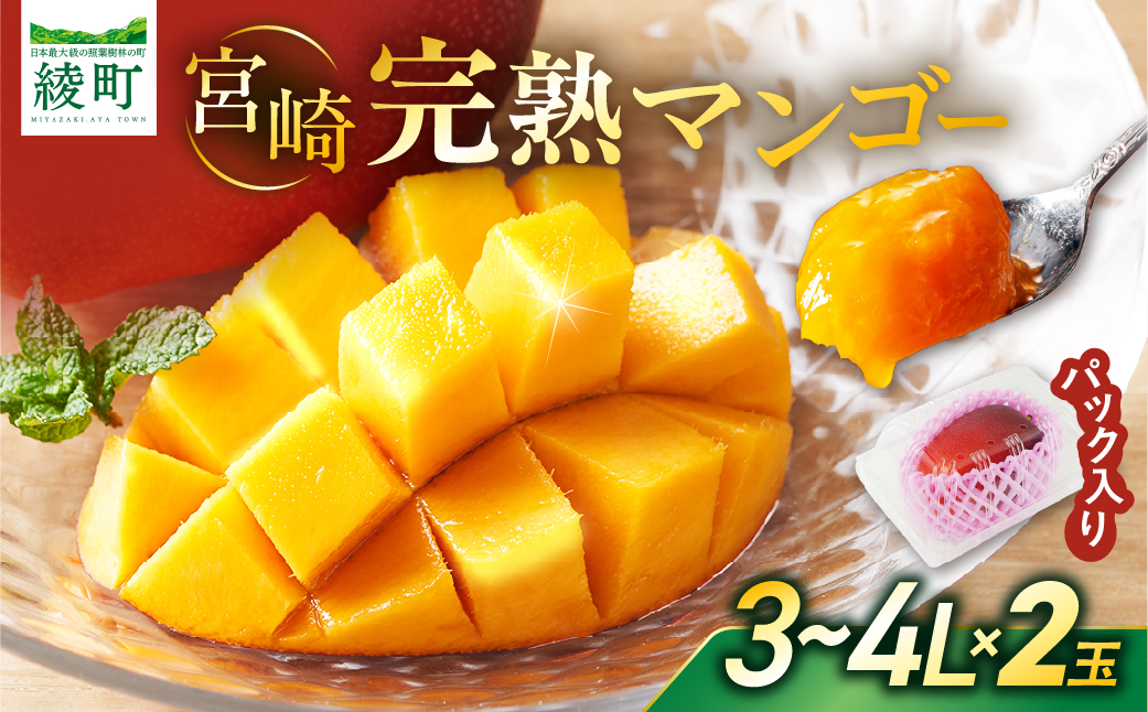 【先行予約/数量限定】完熟マンゴー ３L～４L×２玉（パック）濃厚 宮崎 高級 果物 フルーツ 贈答 ギフト 甘い 先行受付 送料無料【JA綾町】_A0114-2301
