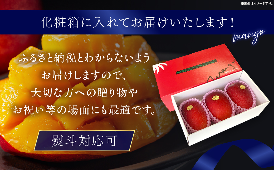 【先行予約/数量限定】完熟マンゴー ３L×２玉（化粧箱）宮崎 高級 果物 フルーツ 濃厚 ギフト のし 贈答 先行受付 送料無料【JA綾町】_A0114-235
