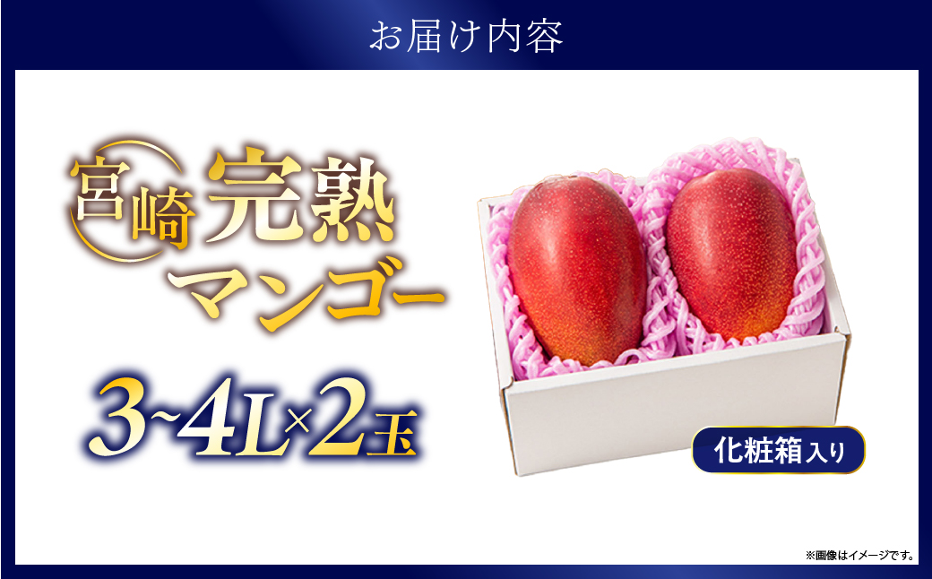 【先行予約/数量限定】完熟マンゴー ３L×２玉（化粧箱）宮崎 高級 果物 フルーツ 濃厚 ギフト のし 贈答 先行受付 送料無料【JA綾町】_A0114-235
