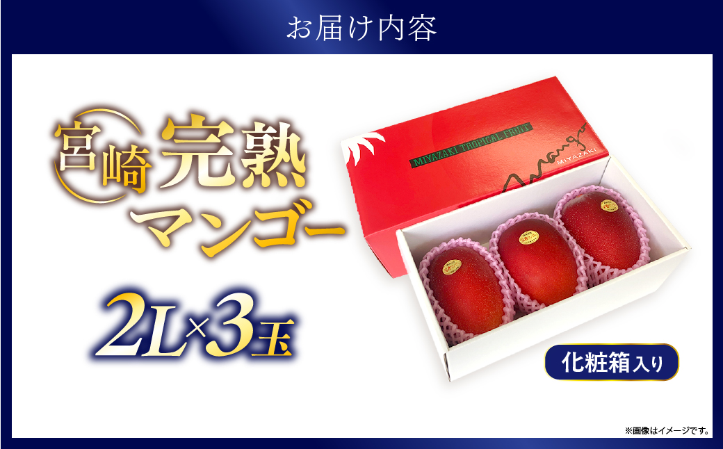 完熟マンゴー ２L×３玉（化粧箱）宮崎 高級 果物 フルーツ 濃厚 ギフト のし 贈答 先行受付 送料無料【JA綾町】_A0114-236