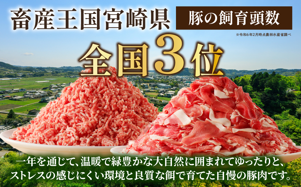 螳ョ蟠守恁 邯セ逕コ逕」縲郁ア夊i蟆城俣蛻繧&繝溘Φ繝 繧サ繝繝 3kg縲雲A0023-003