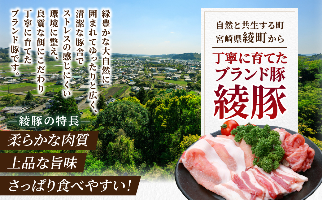 邯セ雎壹ヵ繧。繝溘Μ繝シ繧サ繝繝_A0023-005