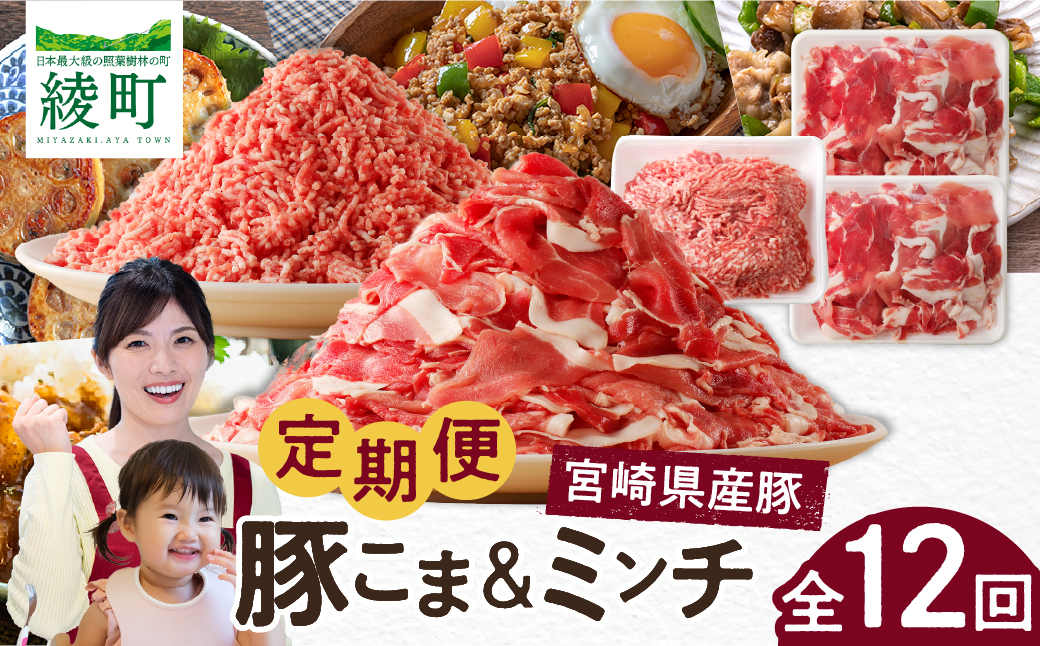 綾町産 豚こま＆ミンチ1.5kg【全12回定期便】_A0023-011