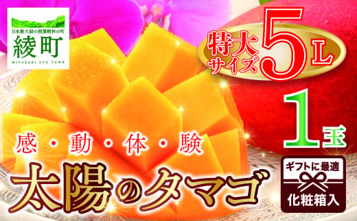 完熟マンゴー「太陽のタマゴ」５L×１玉【JA綾町】_A0114-232