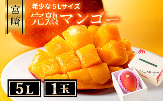 完熟マンゴー５L×１玉【JA綾町】_A0114-233