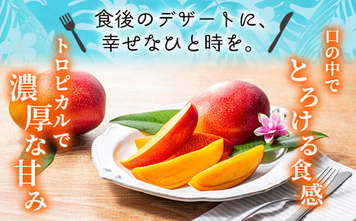 完熟マンゴー５L×１玉【JA綾町】_A0114-233
