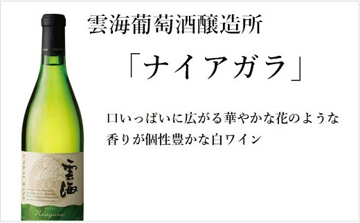 雲海葡萄酒醸造所ワイン＆鶏のささみくんせいセット【雲海酒造】_A0114-0701