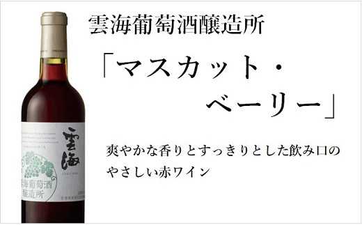 雲海葡萄酒醸造所ワイン＆鶏のささみくんせいセット【雲海酒造】_A0114-0701