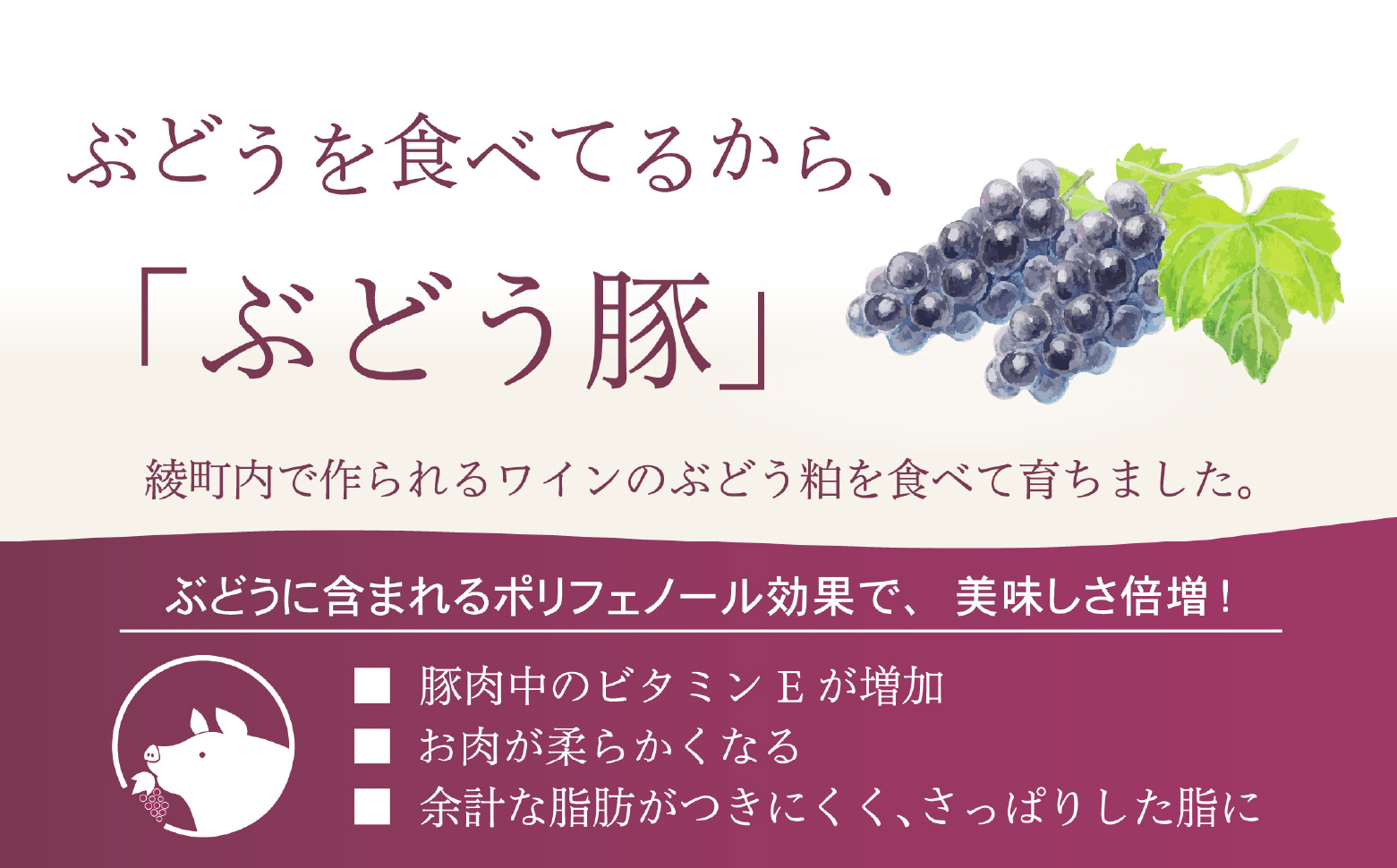 宮崎スープカレー　綾ぶどう豚トロトロなんこつ（10個）【スパイスチャンキー】_A0114-2051