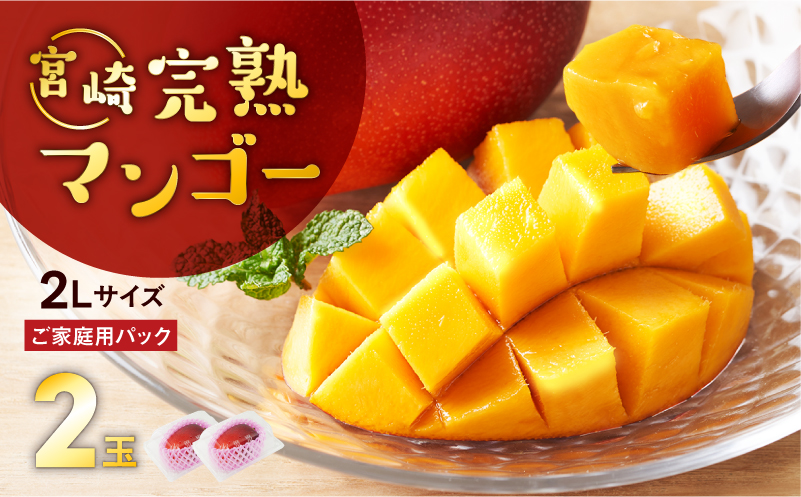 完熟マンゴー2L×2玉（パック）【JA綾町】_A0114-102