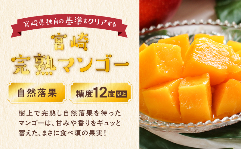 完熟マンゴー2L×2玉（パック）【JA綾町】_A0114-102