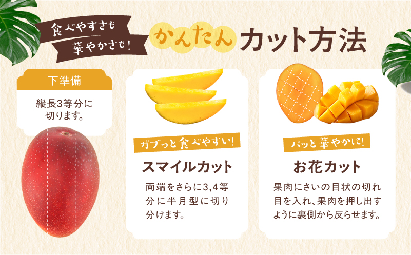 完熟マンゴー2L×2玉（パック）【JA綾町】_A0114-102
