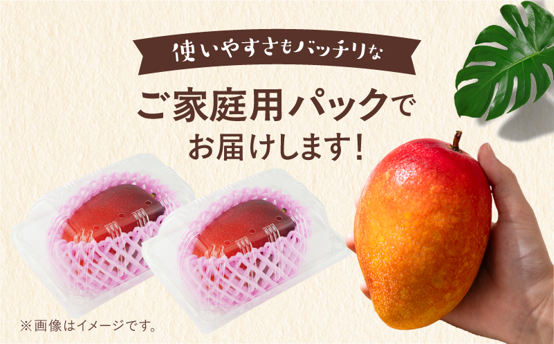 完熟マンゴー2L×2玉（パック）【JA綾町】_A0114-102