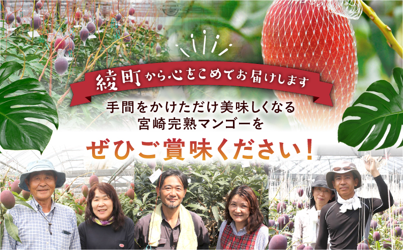 完熟マンゴー2L×2玉（パック）【JA綾町】_A0114-102