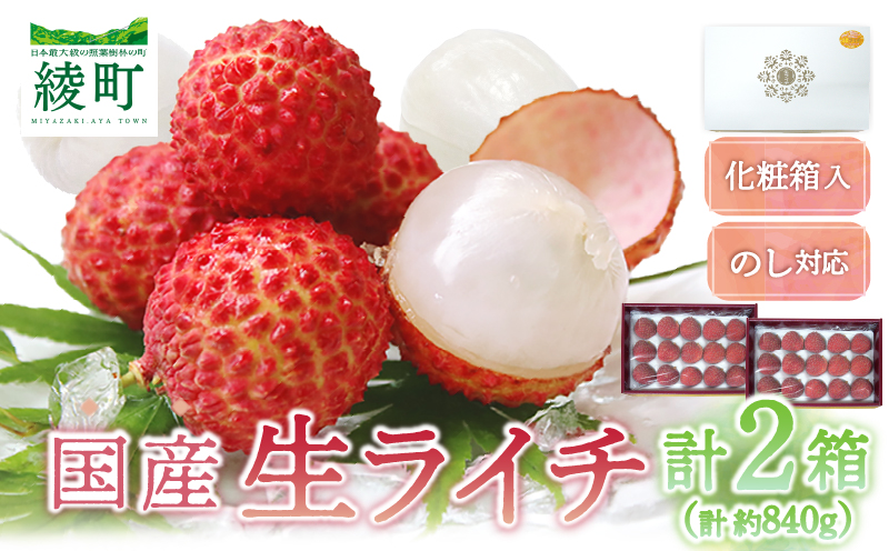 【先行予約/数量限定】希少 国産 綾生ライチ 2箱セット（化粧箱入り）  宮崎県 綾町産 ライチ 贈答 ギフト プレゼント 国産ライチ 果物 フルーツ 生ライチ 産地直送 期間限定 送料無料 お中元【JA綾町】_A0114-237