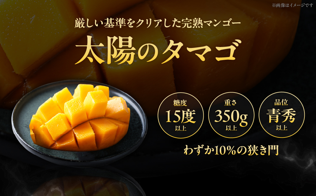 完熟マンゴー「太陽のタマゴ」５L×１玉【JA綾町】_A0114-2321
