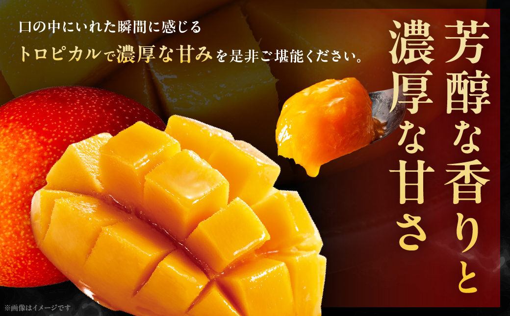 完熟マンゴー「太陽のタマゴ」５L×１玉【JA綾町】_A0114-2321