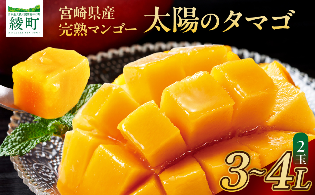 完熟マンゴー『太陽のタマゴ』２玉（約１kg）【JA綾町】_A0114-1001