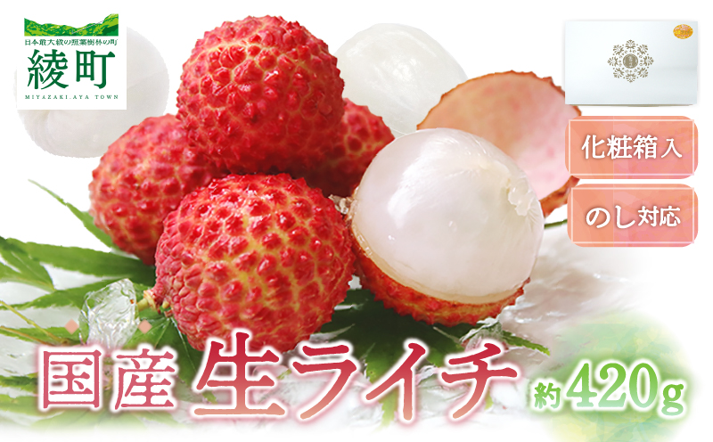 【先行予約/数量限定】希少 国産 綾生ライチ（化粧箱入り）  宮崎県 綾町産 ライチ 贈答 ギフト プレゼント 国産ライチ 果物 フルーツ 生ライチ 産地直送 期間限定 送料無料 お中元【JA綾町】_A0114-1041