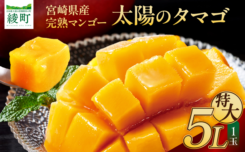 完熟マンゴー「太陽のタマゴ」５L×１玉【JA綾町】_A0114-2321