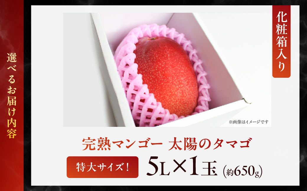 完熟マンゴー「太陽のタマゴ」５L×１玉【JA綾町】_A0114-2321