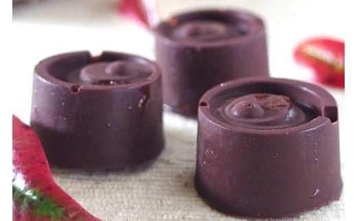 白砂糖不使用オーガニックチョコ100％使用ミニチョコセット＜15個入り＞_A0021-042