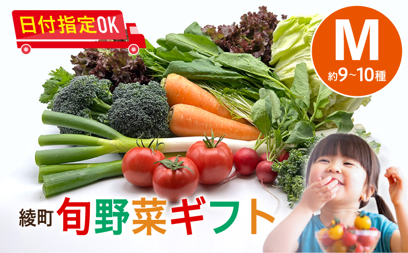 綾町旬野菜ギフト（Mサイズ）