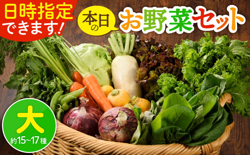 日時指定可能！本日のお野菜セット（サイズ大）約15～17種