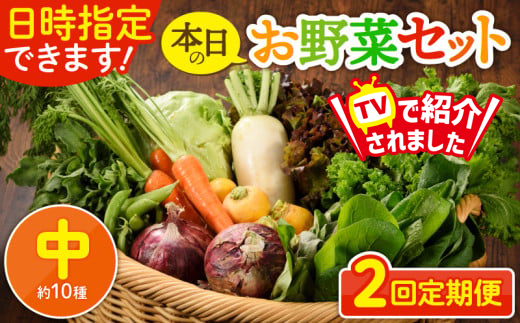 日時指定可能！本日のお野菜セット（サイズ中）【全２回定期便】