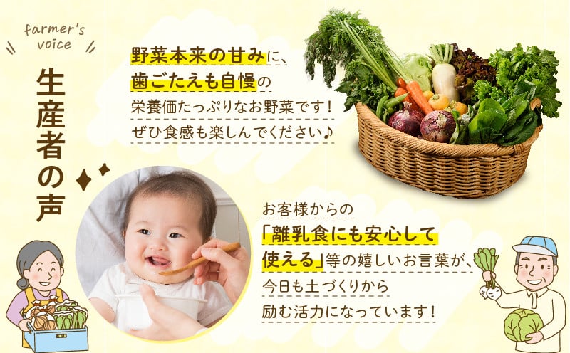 日時指定可能！本日のお野菜セット（サイズ中）【全12回定期便】