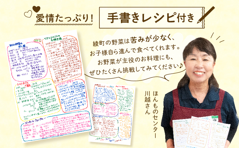 日時指定可能！本日のお野菜セット（サイズ大）【全２回定期便】